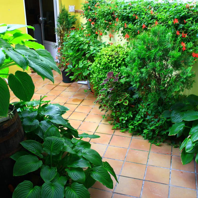 Hostal Escartin ซาบิญานิโก ภายนอก รูปภาพ
